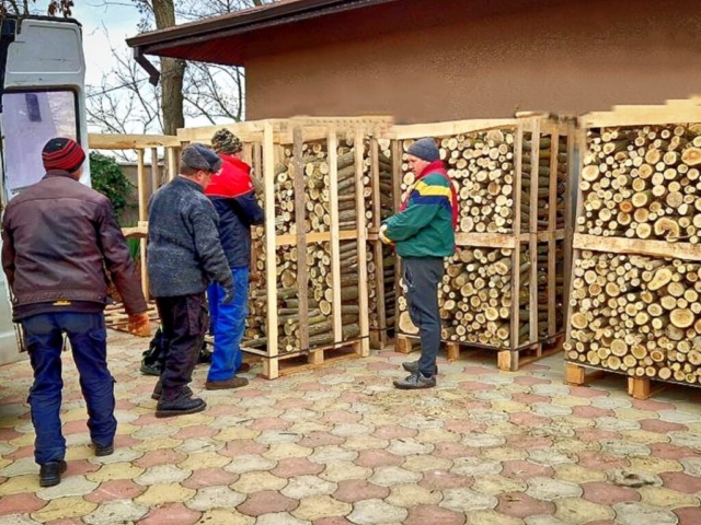 Donazione legna